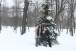 resIMG_20111214_0831.JPG